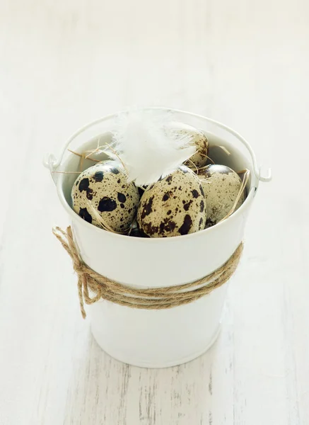 Quail eggs in a bucket — Stock fotografie