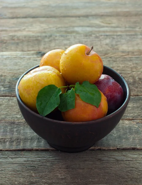 Plums in clay pot — Stock Photo, Image