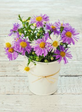 kova içinde parlak kır çiçekleri buketi