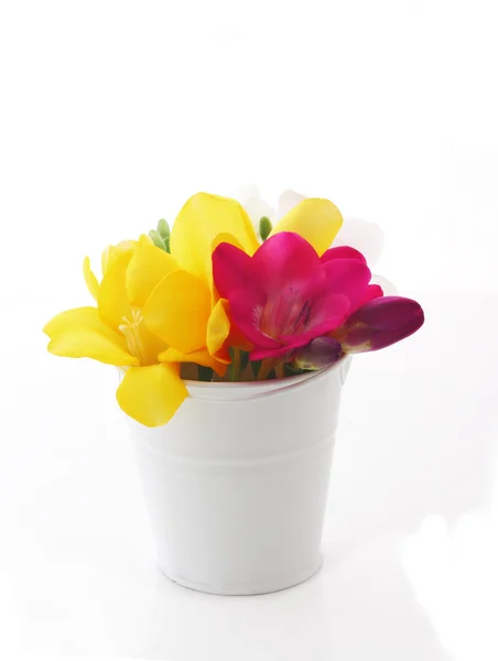 Hermosas flores de freesia en cubo aislado en blanco —  Fotos de Stock