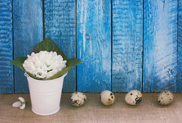 Velikonoční pozadí s vejci a sněženky — Stock fotografie