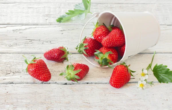Strawberries spilling out of the bucket — Stock Photo, Image