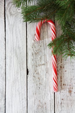 şeker kamışı ve çam dalları ile Noel arka plan