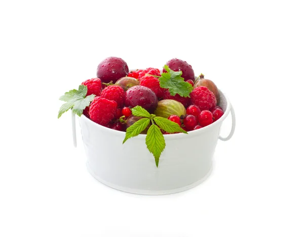 Bowl of fresh berries — Stock Photo, Image