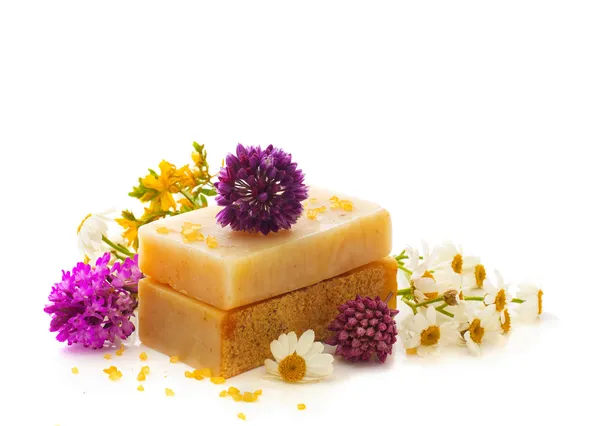 Natural herbal soap — Stock Photo, Image