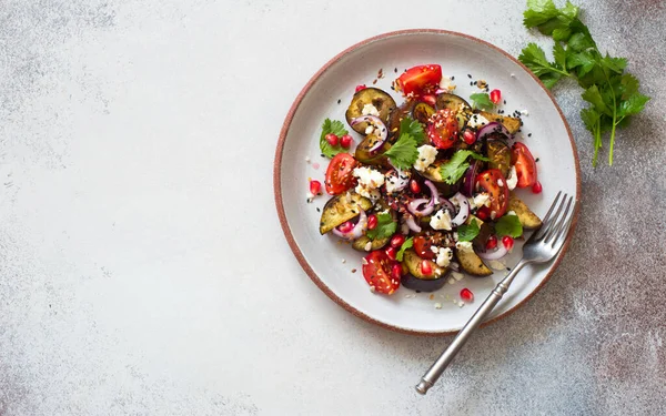 Eggplants Tomatoes Soft Cheese Red Onions Pomegranate Seeds Vegetarian Salad — Stock Photo, Image
