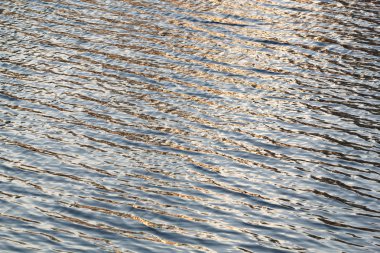 su efektleri dalgalar