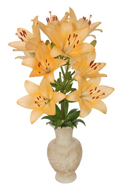 Цветы азиатской лилии, лат. Азиатские гибриды, в керамической вазе, изо — стоковое фото