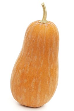 흰색 배경에 고립 된 신선한 오렌지 호박