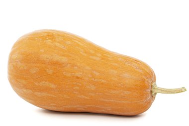 흰색 배경에 고립 된 신선한 오렌지 호박