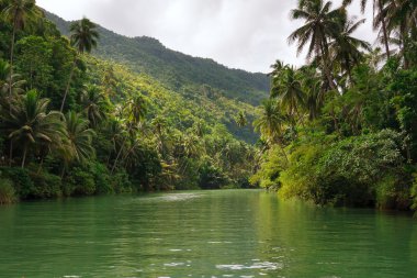 Orman Nehri