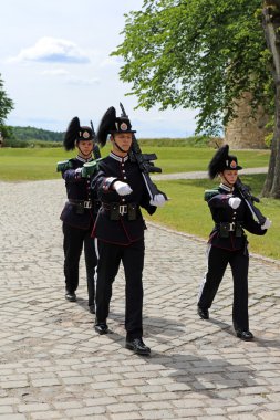 Kraliyet muhafızları