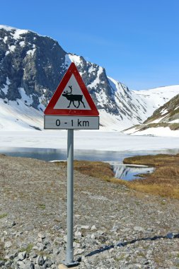 Norveç yol levhası