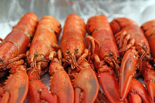 Lobster — Stock Photo, Image