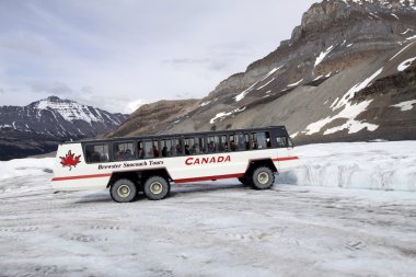 Columbia Icefield