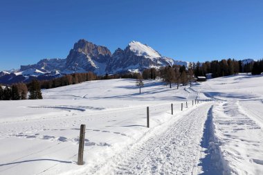 Seiser Alm Langkofel grup ile. South Tyrol. İtalya
