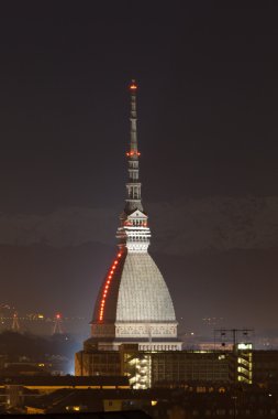 Köstebek Antoneliana görünümü