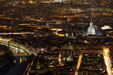 Köstebek Antoneliana görünümü