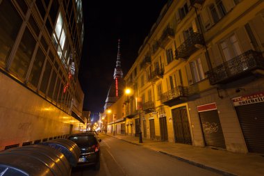 Köstebek antoneliana