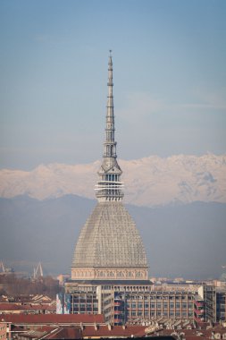 Köstebek Antoneliana görünümü