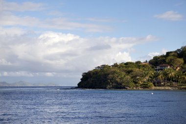 Karayip tropik beach