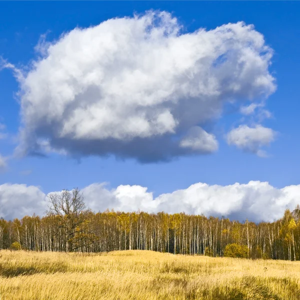 Fluffigt moln — Stockfoto