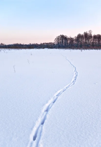 Winteravond — Stockfoto