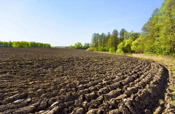 The plowed field — Stock Photo, Image