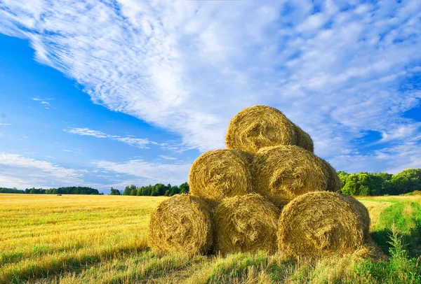 Outono no campo — Fotografia de Stock