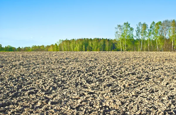 El campo arado — Foto de Stock