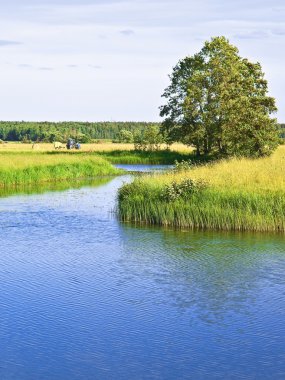 Riverside'da haymaking
