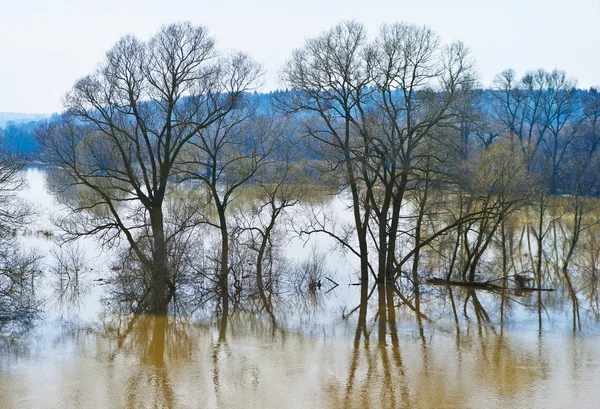 Groot overstroming van riviertje — Stockfoto