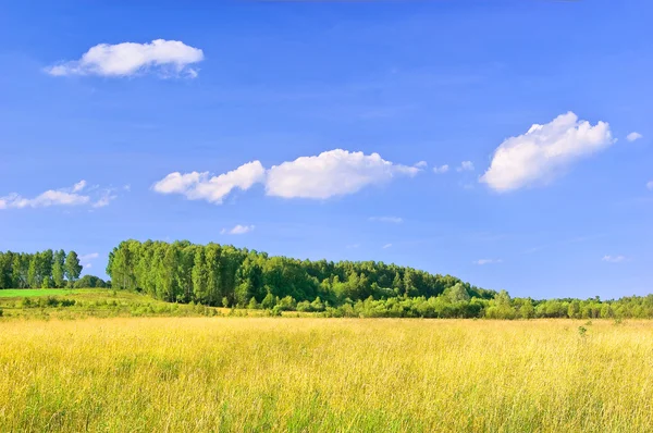 Haying grounds — Stock Photo, Image