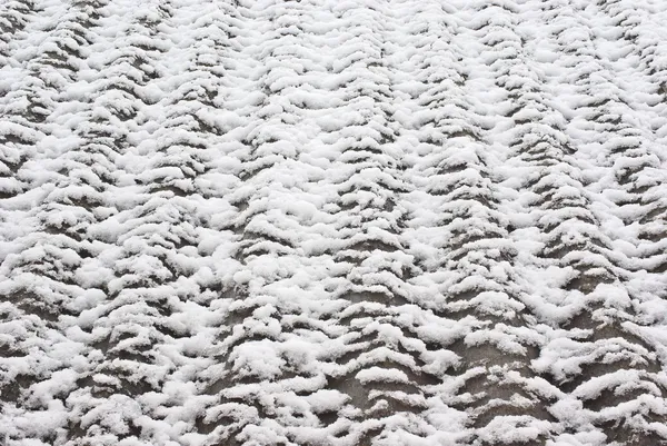 Sneeuw ontdooien — Stockfoto