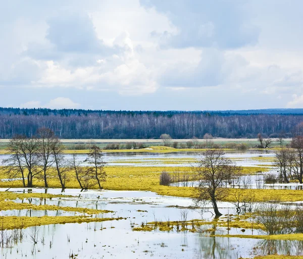 Wiosna powodzi — Zdjęcie stockowe