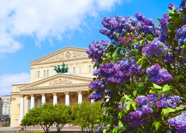 Teatro Bolshoi Imágenes de stock libres de derechos