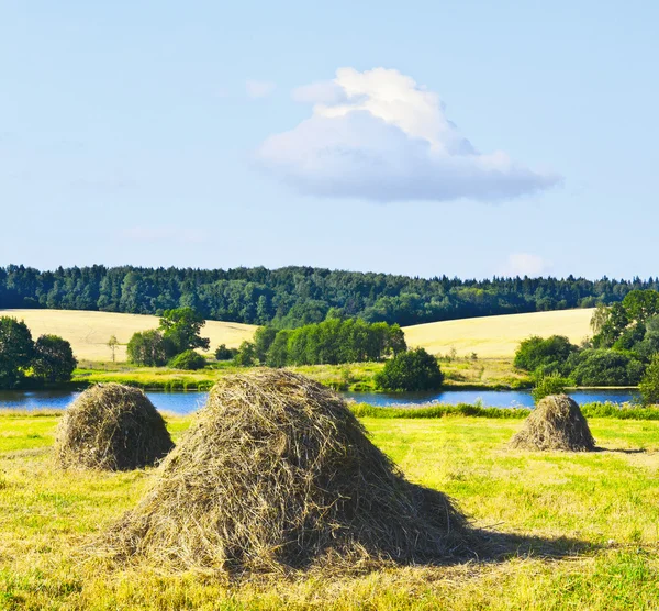 Heuhaufen — Stockfoto