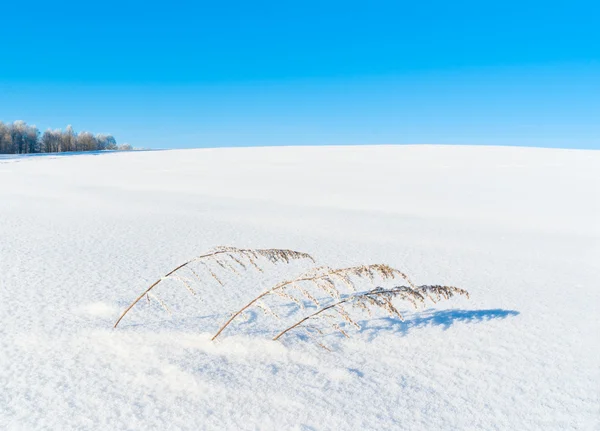 Winterliche Szenerie — Stockfoto