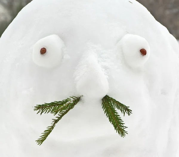 Boneco de neve enrugado — Fotografia de Stock