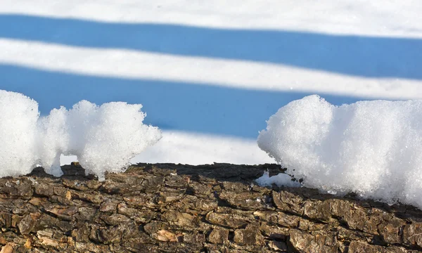 Талый снежный дрейф похож на двух маленьких животных — стоковое фото