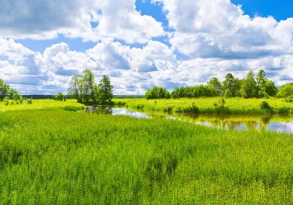 Zomer middag — Stockfoto