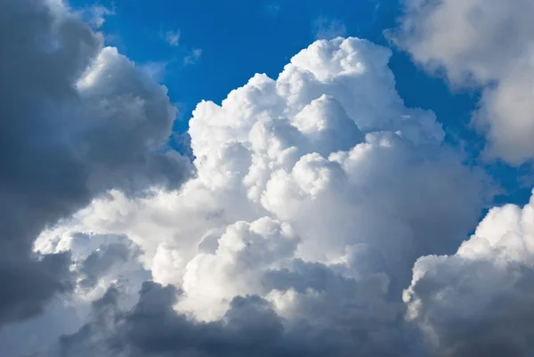 Nuage de cumulus — Photo