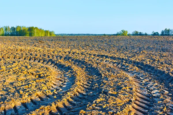 Lentemorgen in platteland. — Stockfoto