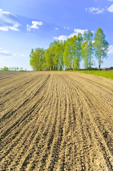 Campo fluido — Foto de Stock