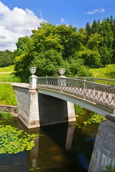 Giardino paesaggistico — Foto Stock