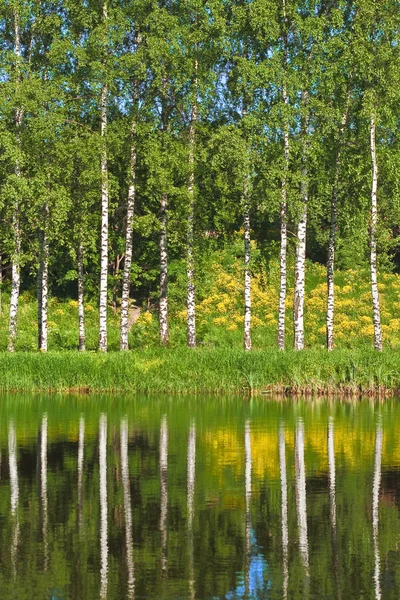 Escena de primavera — Foto de Stock