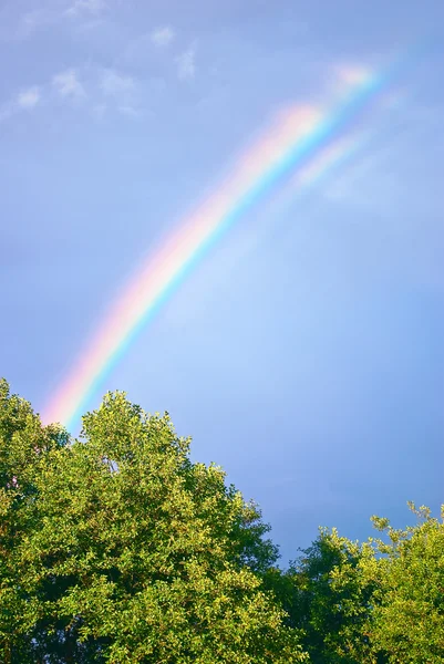 Regenboog — Stockfoto