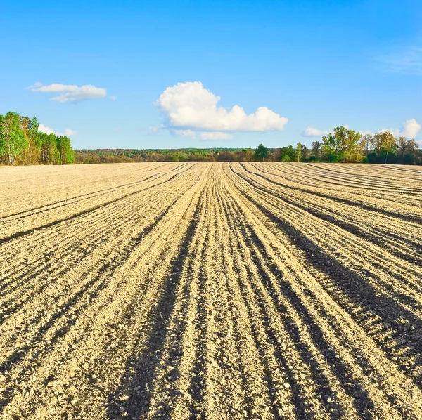 Un campo arado — Foto de Stock