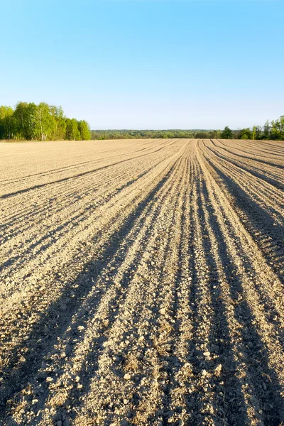 Plowed field — Stock Photo, Image