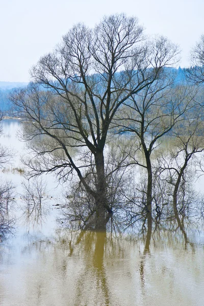 Våren freshet — Stockfoto